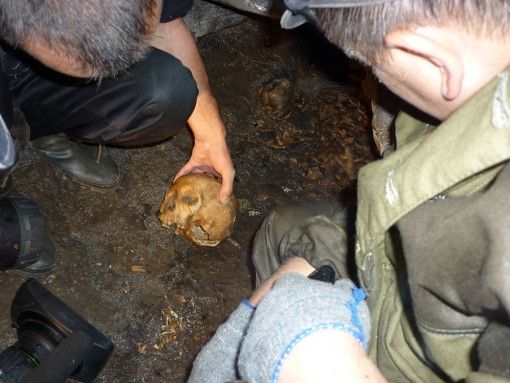 ПАУКИ-ЛЮДОЕДЫ