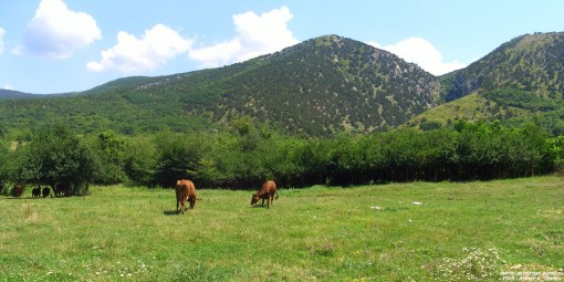 Урочища КБР