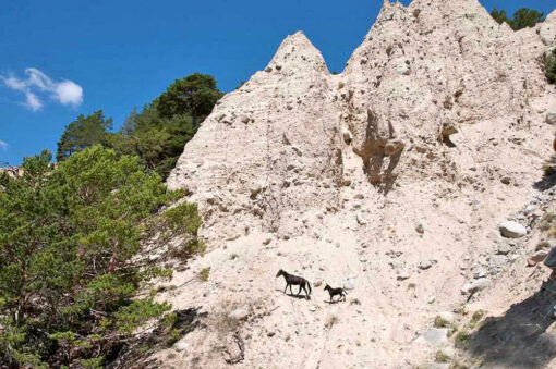 Ущелье Ирик-Чат