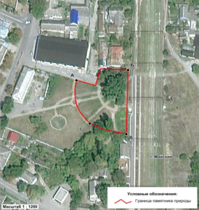 Дуб А.С. Пушкина