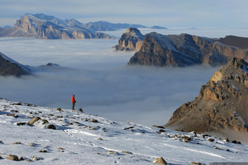 Планировка на Май