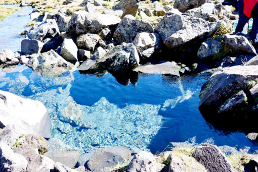 Серебряный источник «Джилы-Су»